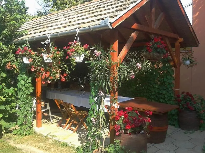 Deak Apartman 4 Hajduszoboszlo 0*,  Hungary
